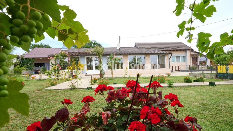 Casă cu teren generos – Vedea-Arges - Poză 4
