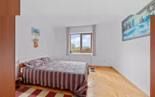 Vilă cu 6 dormitoare, 2 garaje, anexe multiple - 2076 mp teren - Poză 13