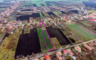 Casă în Dorobanți cu livadă + curte 2500 mp - Poză 3