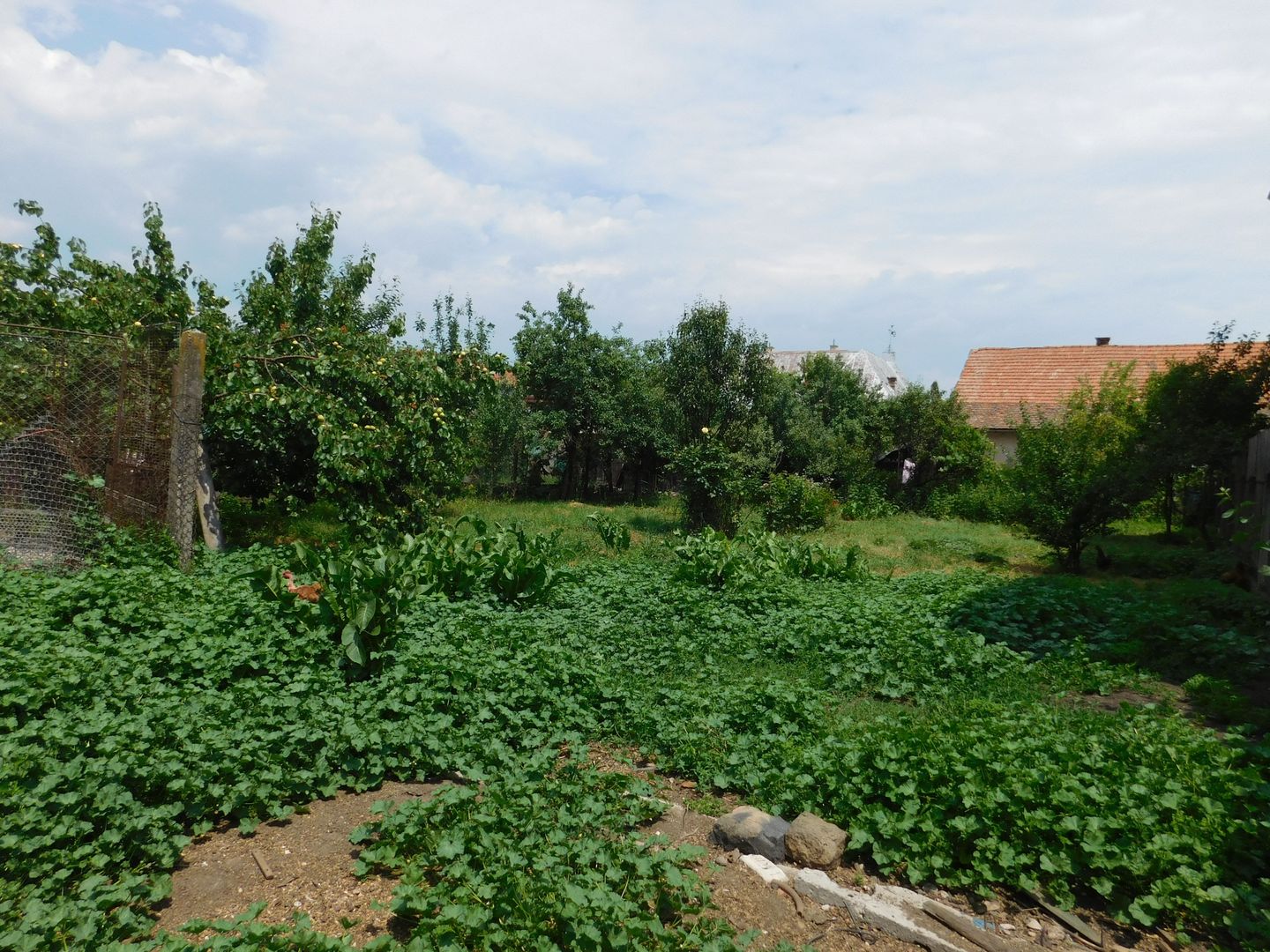Casă cu arhitectură deosebită de vânzare, cu 800 mp teren, lângă Dedeman - Poză 6