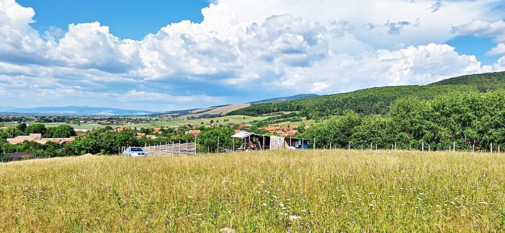 La 24 km de Brasov teren superb de 2010mp cu utilitati - Poză 7