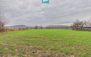 Casă 5 camere şi anexe în Cuied - Poză 3