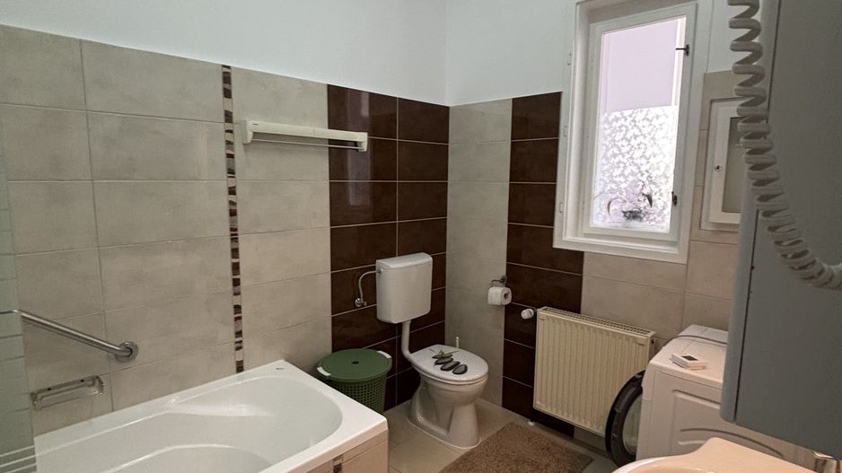 Vilă de închiriat zona Parvan - Poză 15