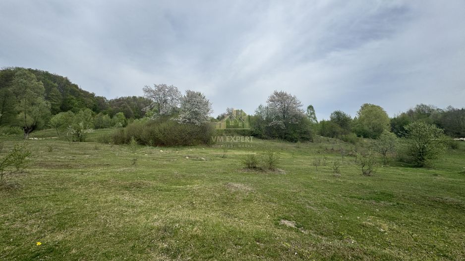 TEREN EXTRAVILAN 40000 MP, ALBESTI DE MUSCEL, CANDESTI - Poză 8