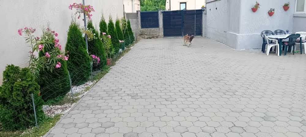 BRASADAS vinde casa cu 3 cam teren 5 ari in zona Piata Mare. - Poză 6