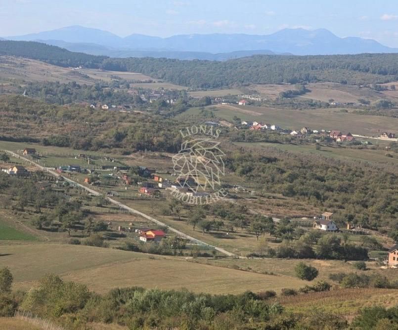 COMISION 0%! Teren 3044 mp-Oportunitate investitie-Valea Sigmirului - Poză 3