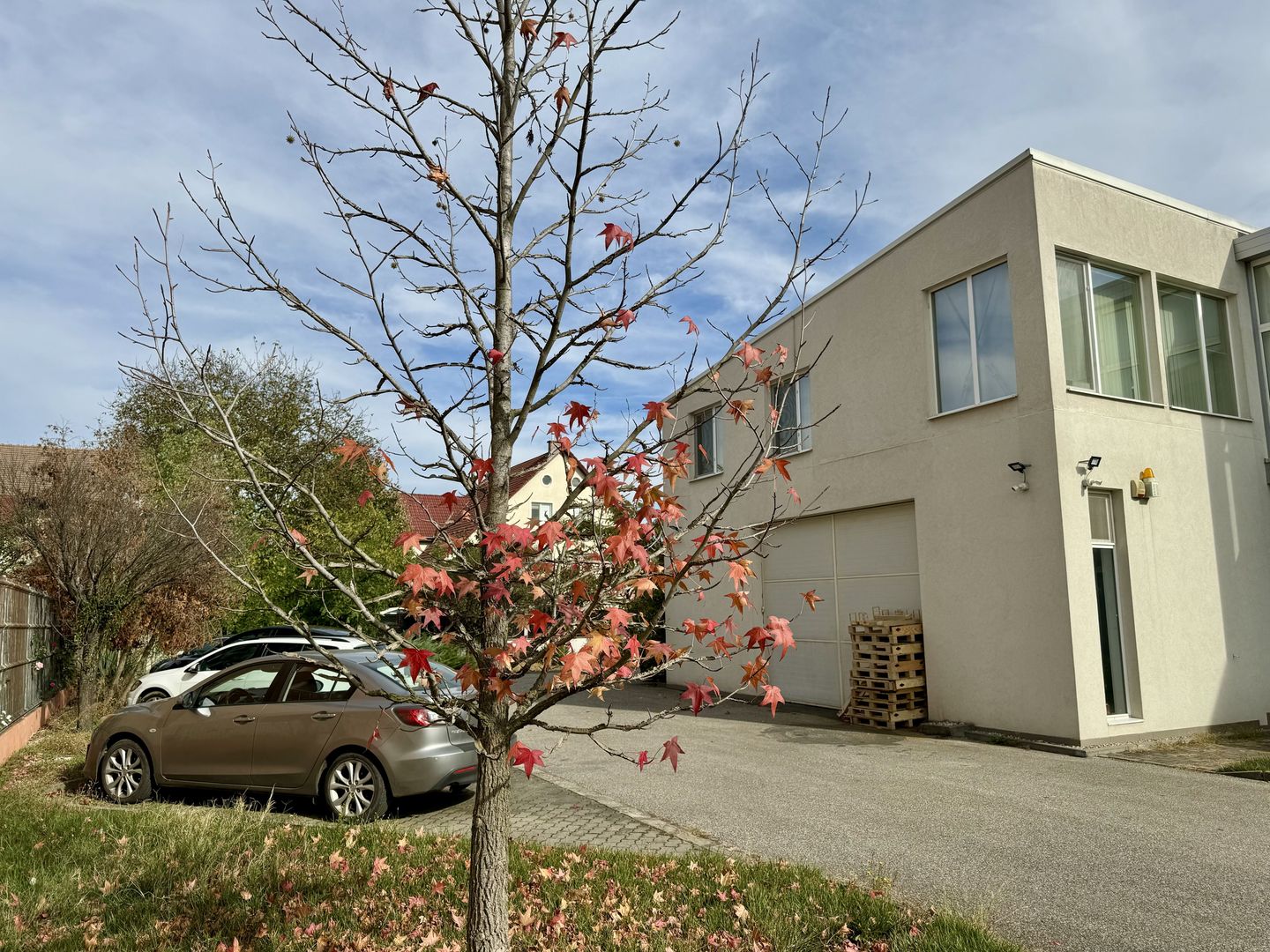 Clădire SAD de închiriat, situată la intrarea în Dumbrăvița - Poză 25