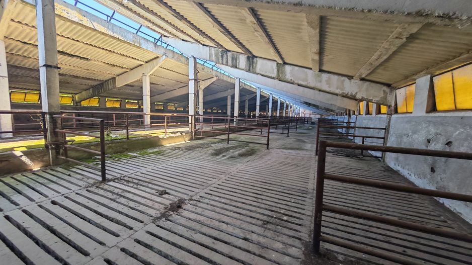 Spațiu industrial -fermă Orțișoara - Poză 1