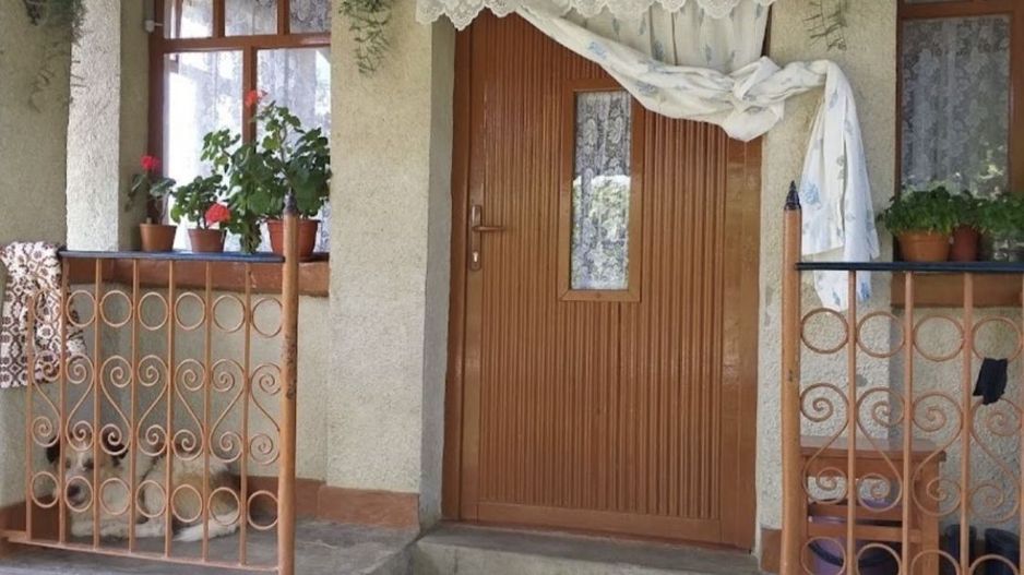 Vand casa in Loc. Medisa - Poză 4