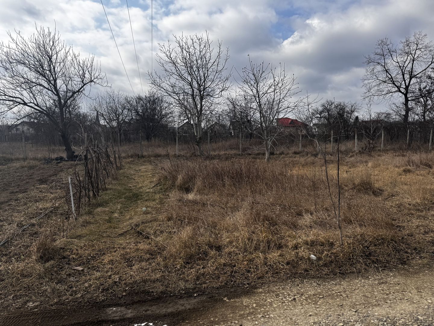 Teren intravilan pe str. calea Barladului - de vanzare - Poză 10