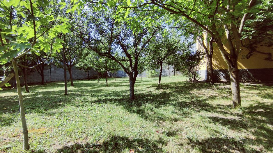 CASA INDIVIDUALA GHIRODA +TEREN 1752 MP - Poză 42