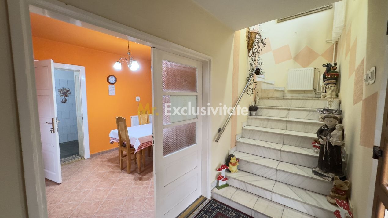 Casă 7 camere cu Teren 4.620 mp | Potențial pentru rezidență sau afacere | Carei - Poză 4