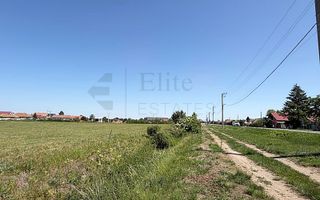Teren intravilan 2.6 hectare la E671 / DN79 | Front 484 ml - Poză 4