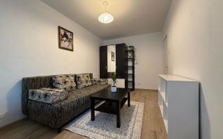 De închiriat  Apartament cu 1 cameră în zona Zorilor – aproape de UMF - Poză 2