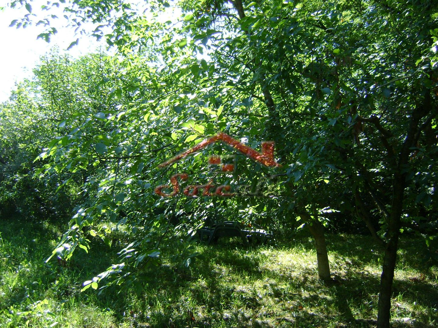 Teren de vânzare în Breaza– zonă liniștită, ideal pentru relaxare - Poză 11