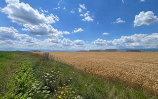 Teren intravilan 38.676 mp | 10 parcele | Zona de Vest - Poză 3