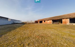 Teren și hale pe Calea Aradului din Periam - Poză 7