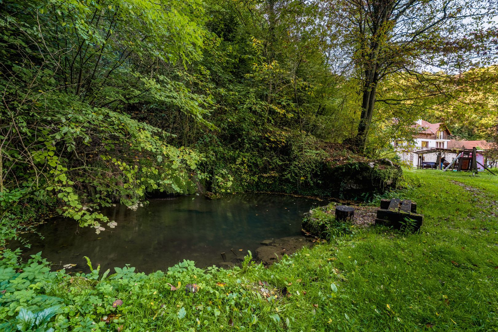 Domeniu în satul Căprioara - Poză 19