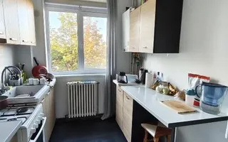 Închiriez apartament 3 camere Zona Podu Ros |Cantemir ,Etaj 3 Vedere Palas - Poză 11