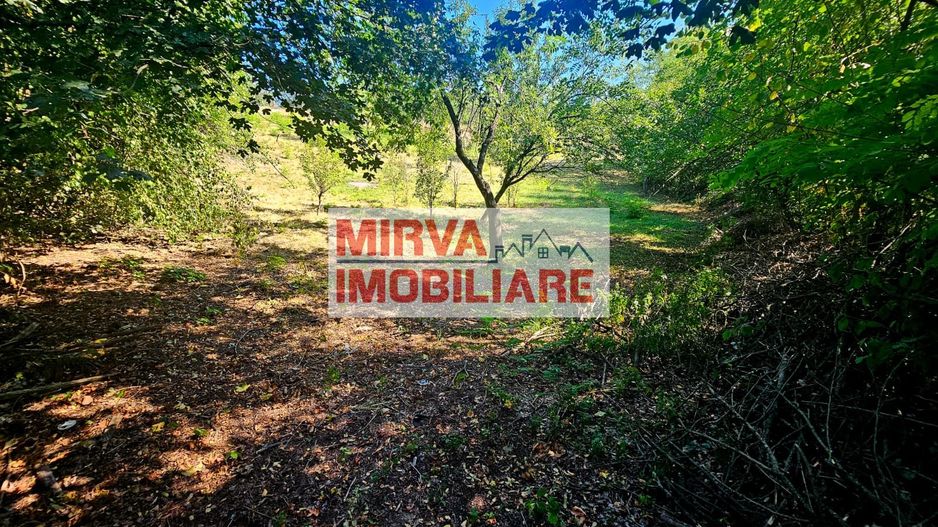 🌳 Teren intravilan 2322 mp, Păcuri – vedere superbă spre pădure! 🏡✨ - Poză 9