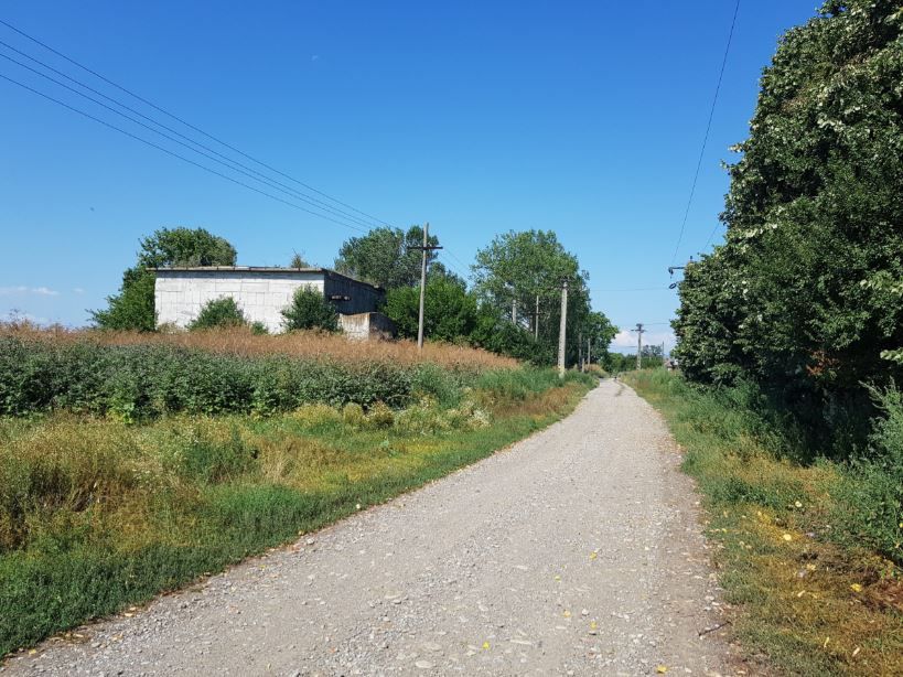 Ferma zootehnica Precistanu - Poză 3