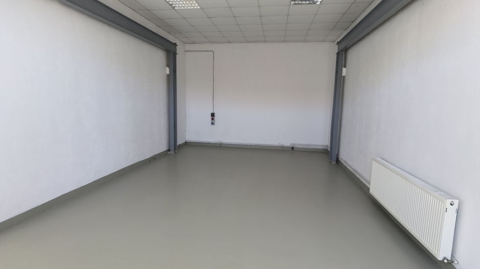 Proprietate industriala  la 35 km de TM - Poză 48