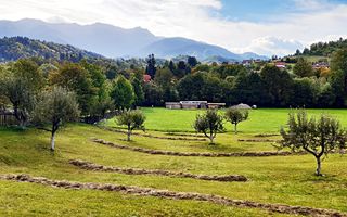 Teren superb de 16240mp, parcelabil, in Bran la intrare in Moeciu de Jos - Poză 1