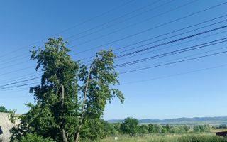 Teren intravilan Berchisesti 4400 mp - Poză 4