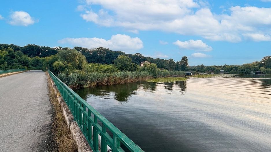 Teren în Snagov, intre Lac și Pădure - Poză 6
