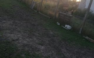 Ferma de vânzare - Poză 5