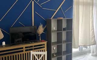 AP. 2 CAMERE DRUMUL TABEREI, PET-FRIENDLY, BOILER, METROU 5 MINUTE - Poză 2