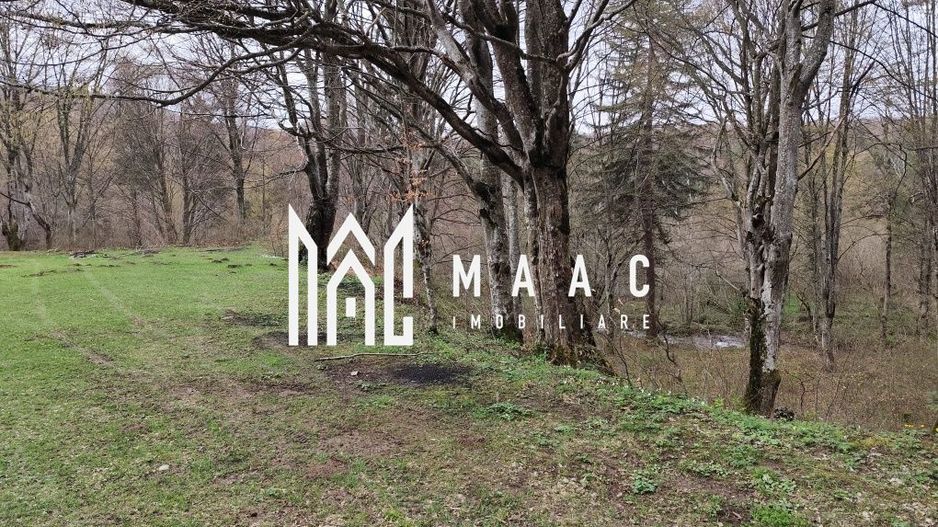 Teren Intravilan |2000Mp| Valea Avrigului - Poză 1