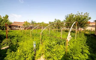 EXCLUSIVITATE – Comision 0% | Casa spatioasa | Santana - Arad - Poză 13