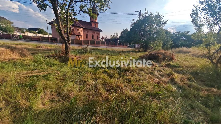 Teren intravilan 1.600 mp Mioveni – Zona Pruni - Poză 4