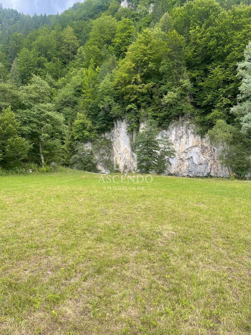 Teren pentru investiție turistică în Dâmbovicioara – Baranga | 4.500 mp | Front ~102 ml - Poză 17