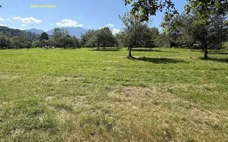 Teren 4558 mp cu casă tradițională, Sohodol, Bran - Poză 11