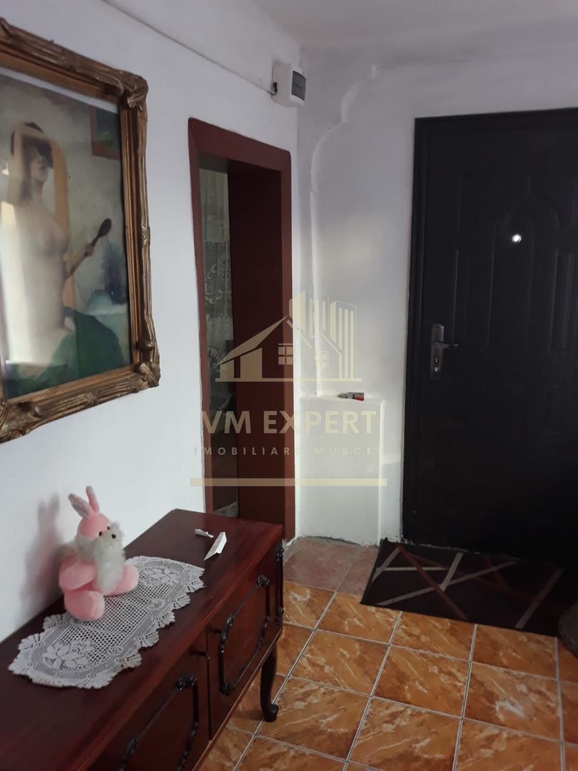 CASA 3 CAMERE, TEREN 1209 MP, RETEVOIESTI, ARGES - Poză 8