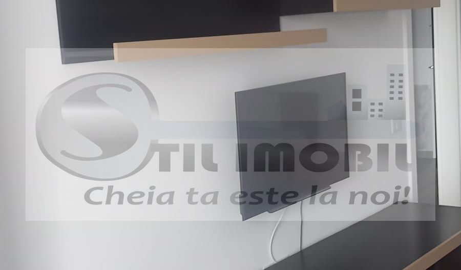 Apartament 1 camera Pacurari - 350 EURO - Poză 3