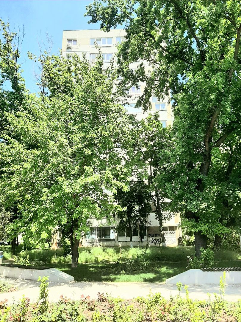 Drumul Taberei – Valea Roșie - Poză 1