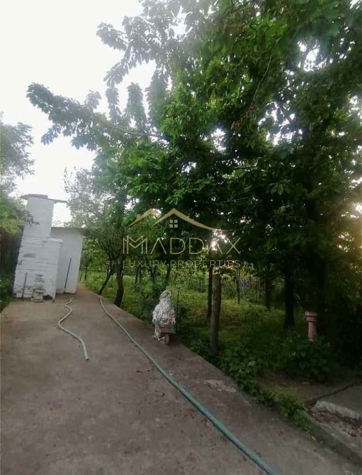 Vila 9 camere***gradina cu pomi fructiferi//1085 mp teren***Dragomiresti-Deal - Poză 16