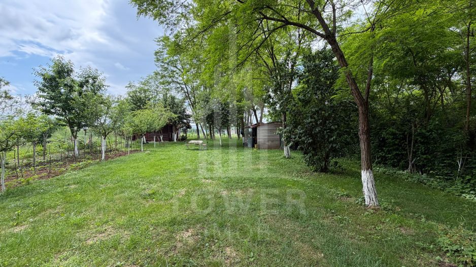 OCAZIE RARĂ - Teren cu cabană de vânzare lângă Lacurile Naturale - Ocna Sibiului - Poză 12
