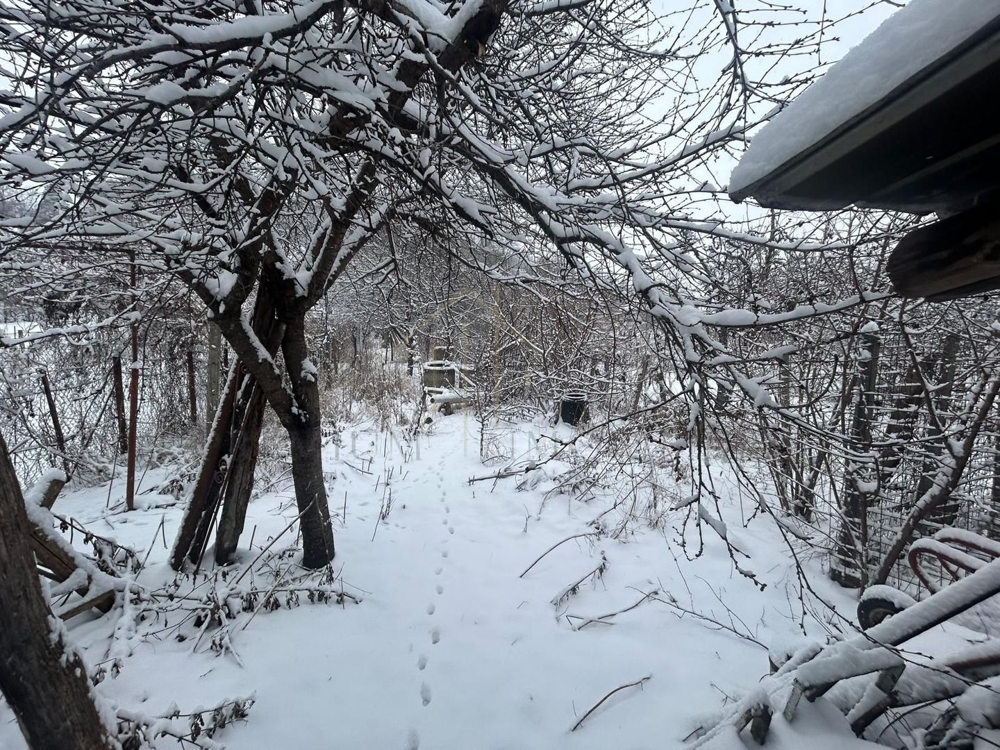 Casă batraneasca+ teren 999 mp intravilan în Oituz - Poză 18