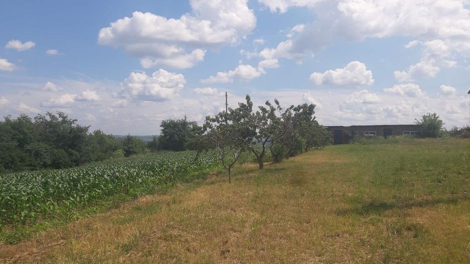 Teren cu spații industriale sau depozitare - Poză 8