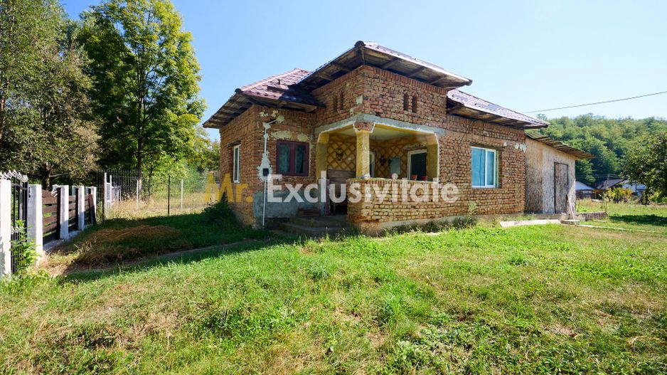 Proprietate deosebita cu doua case si teren generos – Cosesti, Arges - Poză 5