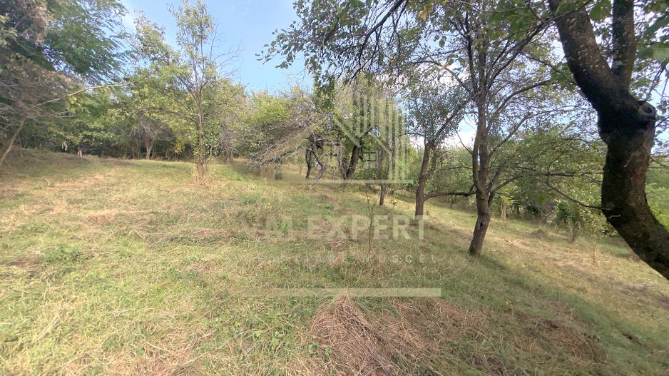 CASA 3 CAMERE TEREN 7770 MP BOTENI ARGEȘ - Poză 3