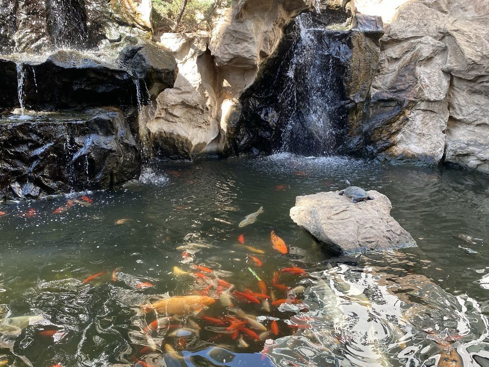 Studio in zona Herastrau - Poză 2