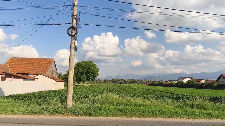 teren intravilan 700mp str. Fagurului, Stupini - Poză 6