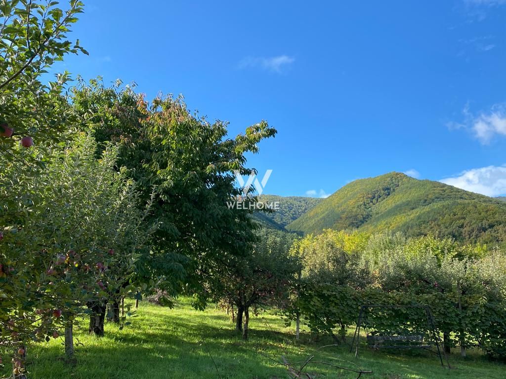 Teren intravilan 2100 mp - Valea Avligului - Sibiu - Poză 5