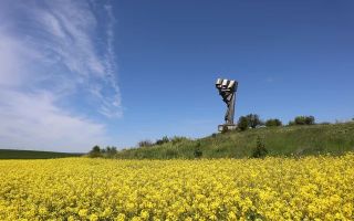 TEREN DE VANZARE - Poză 3