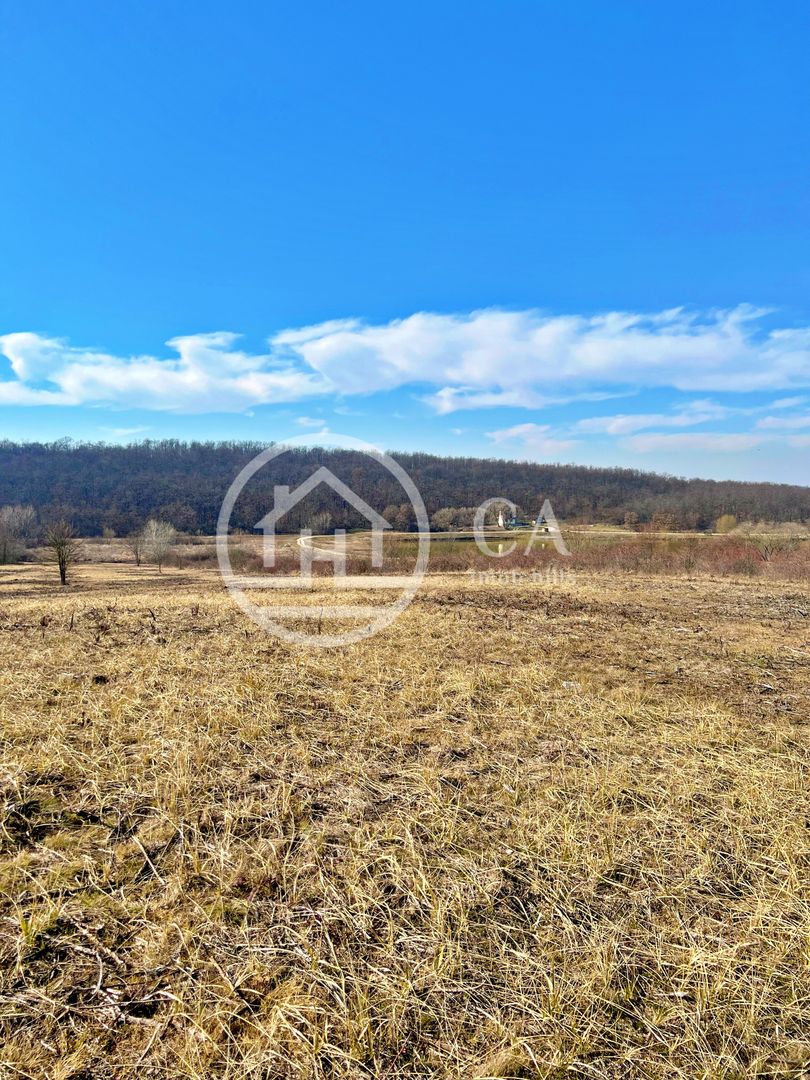 Teren 10.071 mp de vanzare in Paleu, Bihor - Poză 3